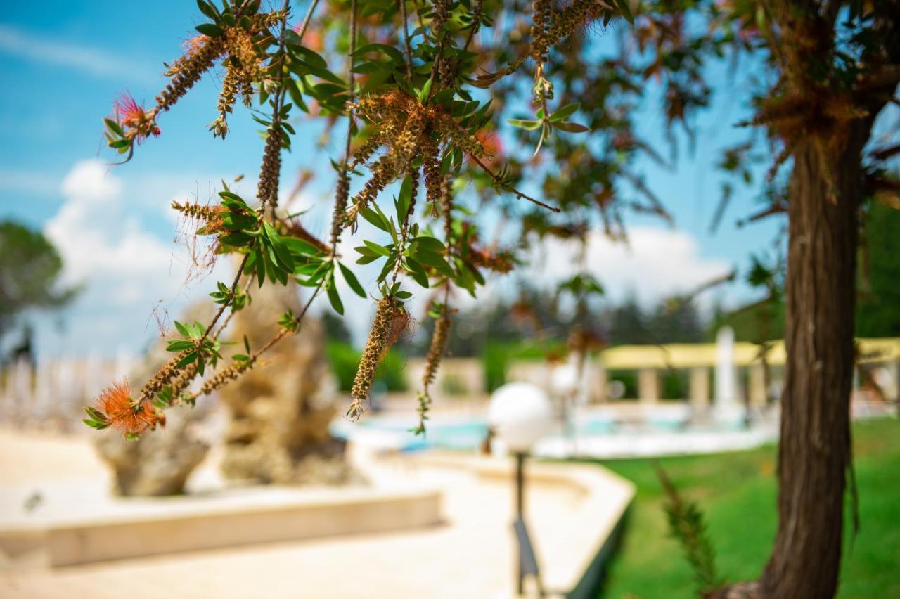 Villa Conca Marco Torre dell'Orso Kültér fotó